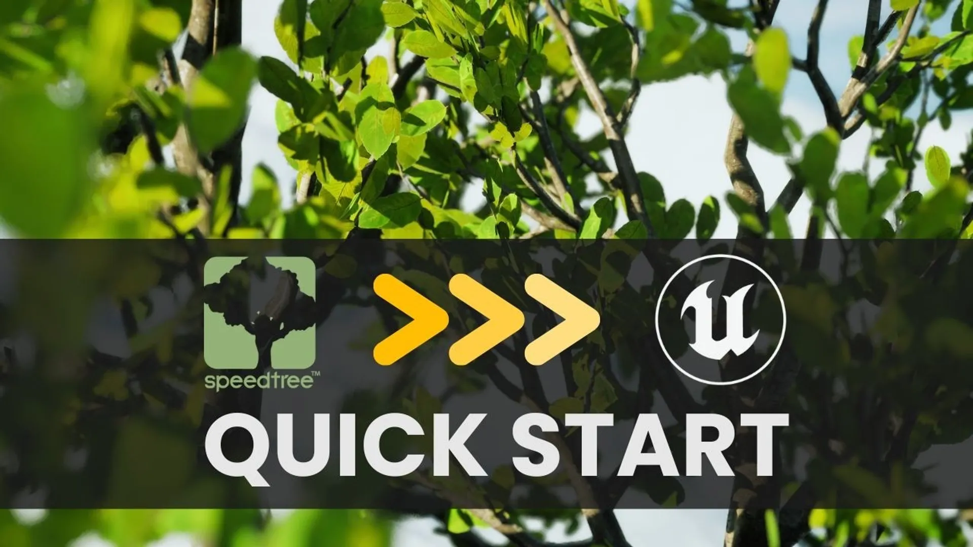 Como Criar Árvores no SpeedTree e Exportar para Unreal Engine: Guia para Iniciantes